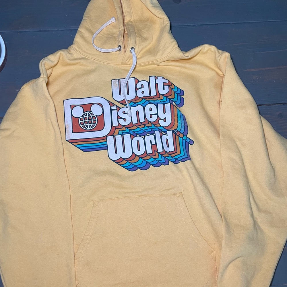 2020 Walt Disney world resort Hoodie